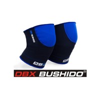 Bushido DBX DBD-E-1